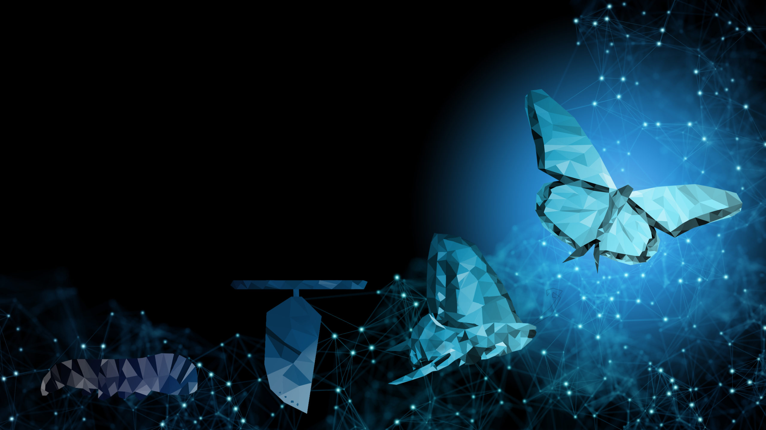 A polygonal illustration showing the metamorphosis of a butterfly, from caterpillar to chrysalis to butterfly, set against a blue digital network background.