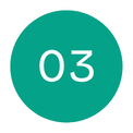 A green circle with the number 03 in white centered inside, representing Integration Services.